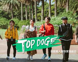 51社区《TOP DOG》免费在线观看